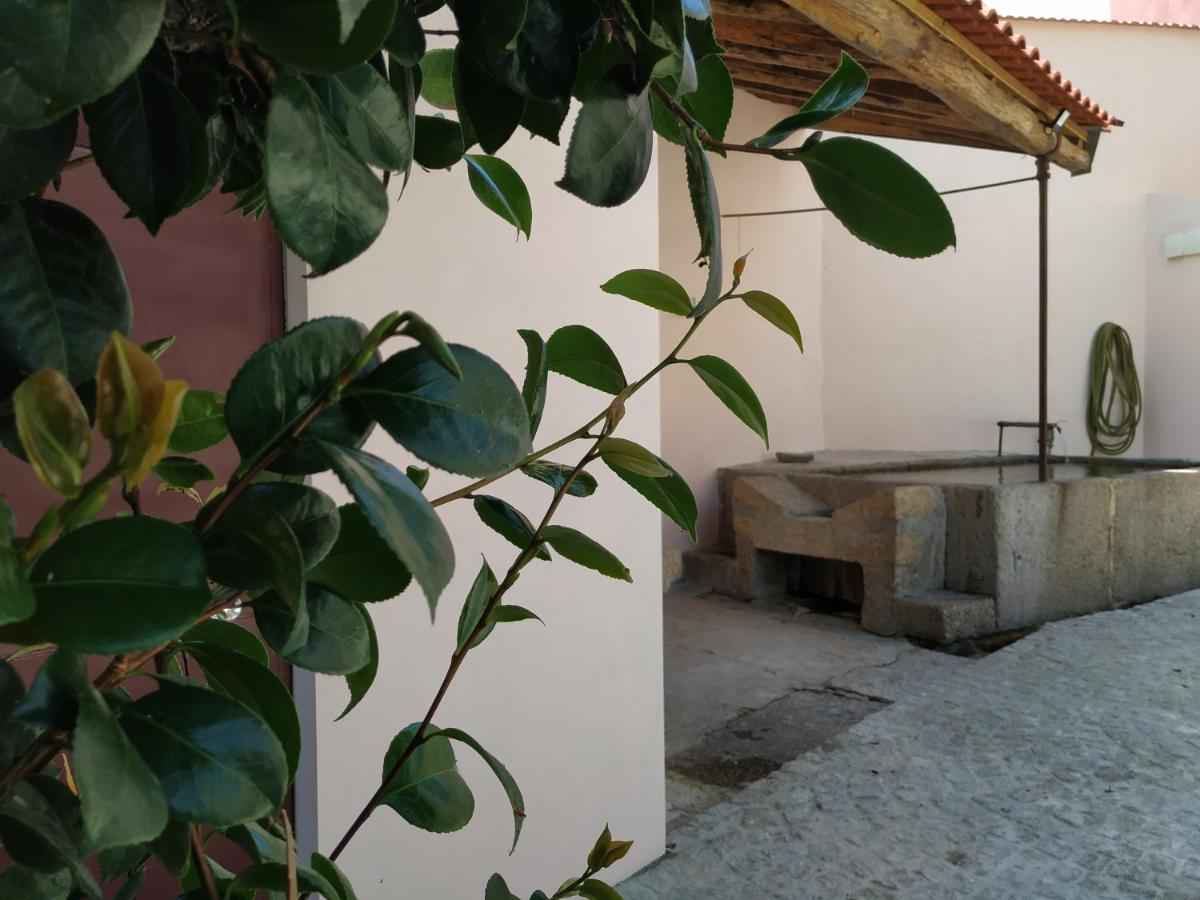 Entresocalcos Hostel Loriga Kültér fotó